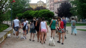 18302_952353611451976_1190645026708136596_n