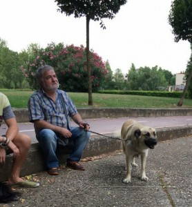 18302_952355308118473_9033216072144781653_n