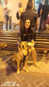 11240088_964050303615640_4185935691833326475_n