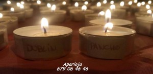 11855708_964049420282395_1089185708770759544_n