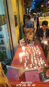 11855860_964050340282303_6597636193971906623_n