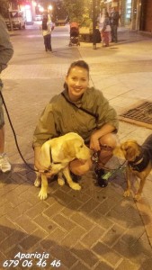 11855904_964049473615723_4940346965139162865_n