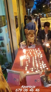 11873402_964049680282369_2182524790993715130_n