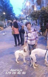 11885102_964050413615629_4448908056191334110_n