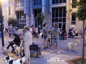 11889618_964050366948967_5473429153986536288_n