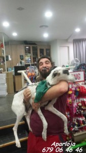 11889691_964050116948992_265969081363538611_n