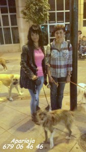 11891206_964050250282312_6415311116471465620_n