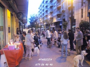 11892127_964049516949052_8351714525360947687_n