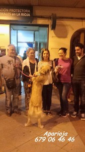 11898898_964050013615669_6748785102711555812_n