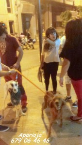 11899859_964050593615611_8294714458633179367_n