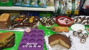 11902495_964050263615644_522596375023690235_n