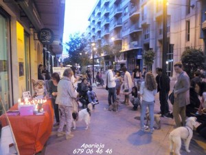 11902495_964050560282281_7848168424073021108_n