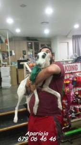 1465327_964050313615639_3101189657140437449_n