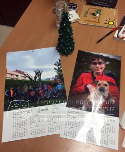 12345409_1656803477915792_2927900956493771179_n copia