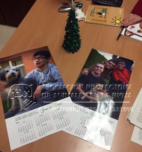 12376055_1656803481249125_816900164670122002_n copia