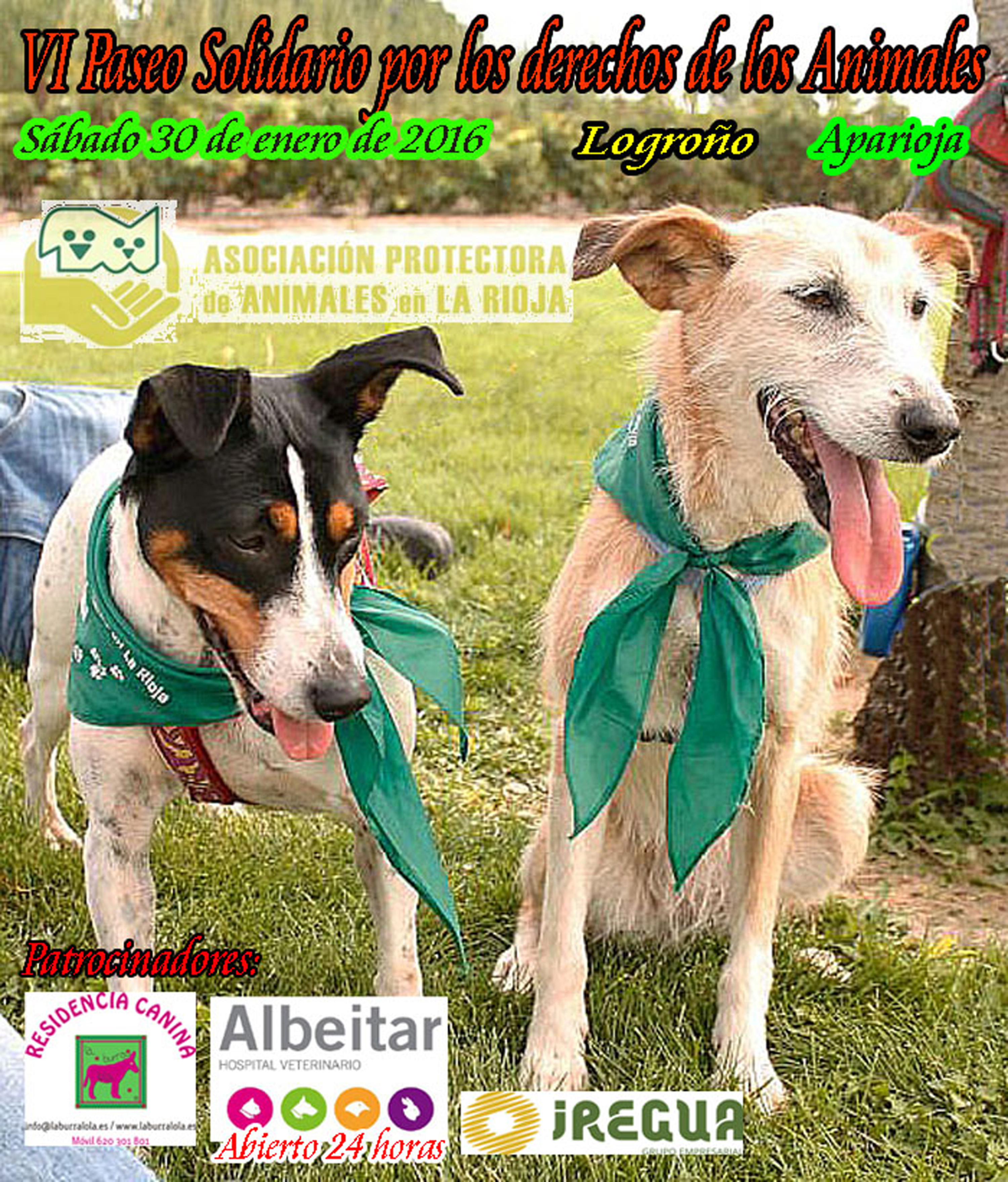 IMG-20141107-WA0012 gigante