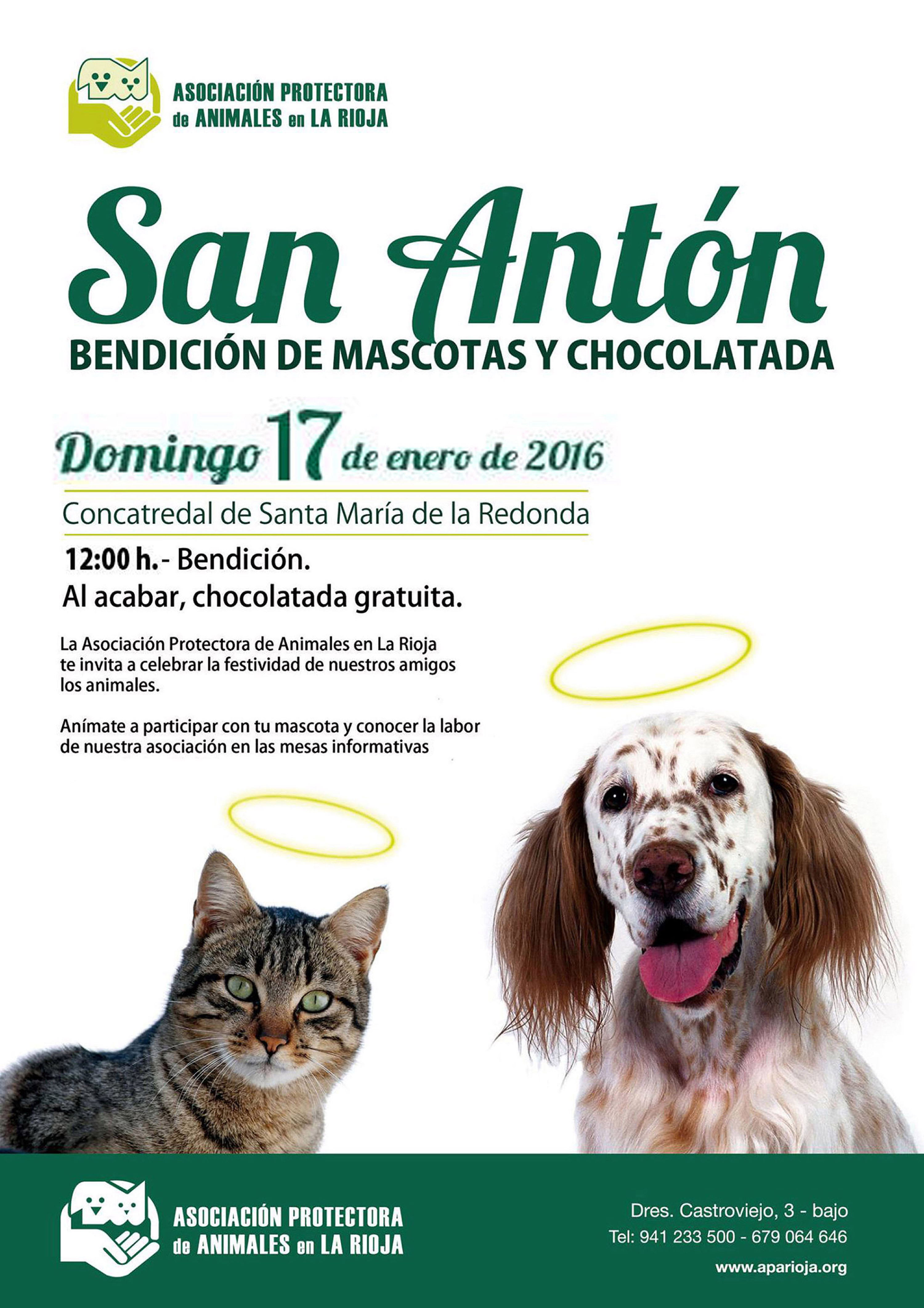 San antón 2016grande