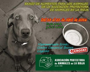 cachorrocomfome copia