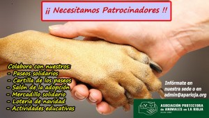 dog-paw-facts_0 copia2