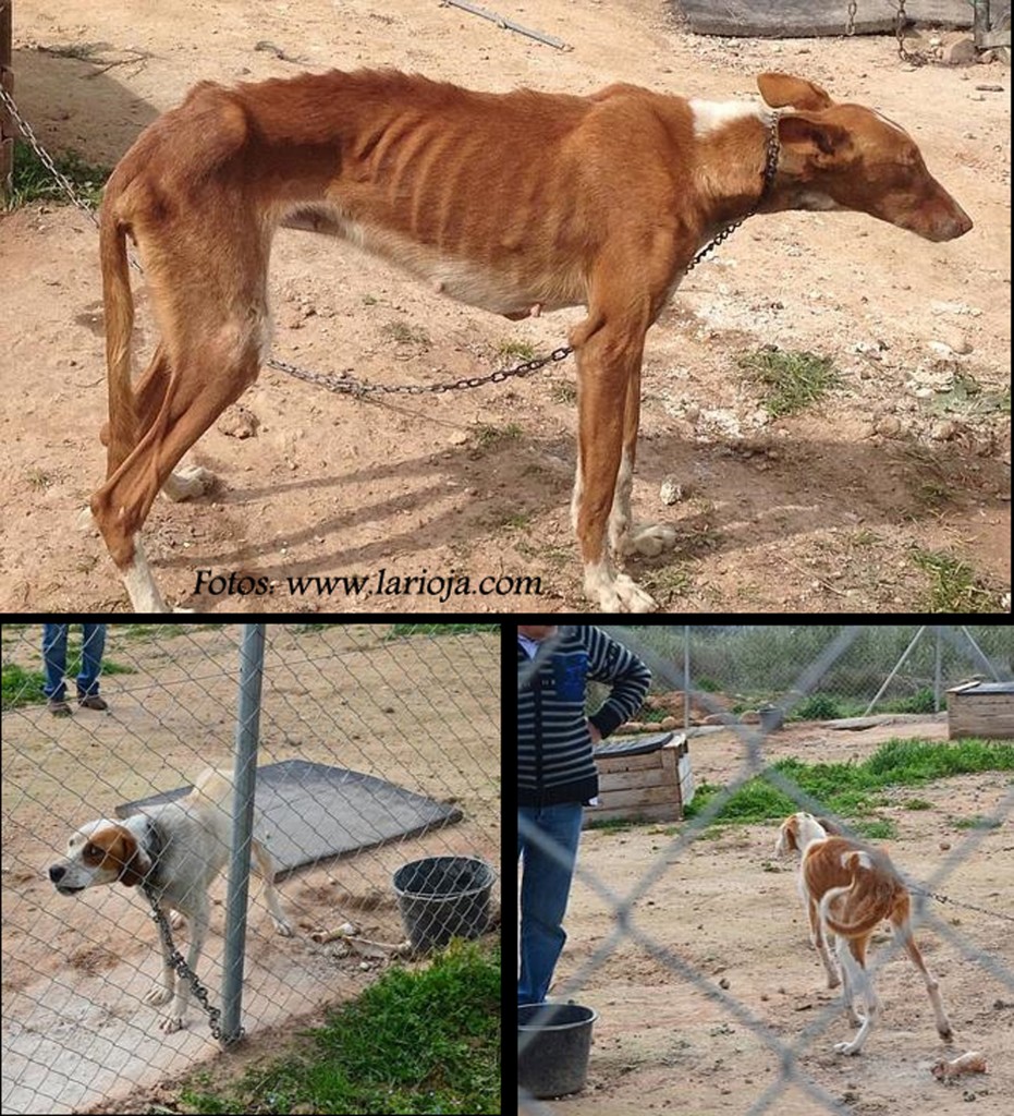 IMG_8321--660x400 copia2