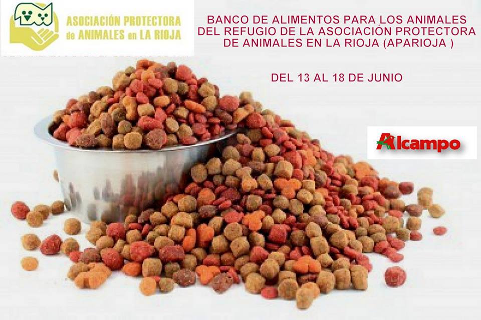 13434983_1121085221245480_8669985288161357937_n