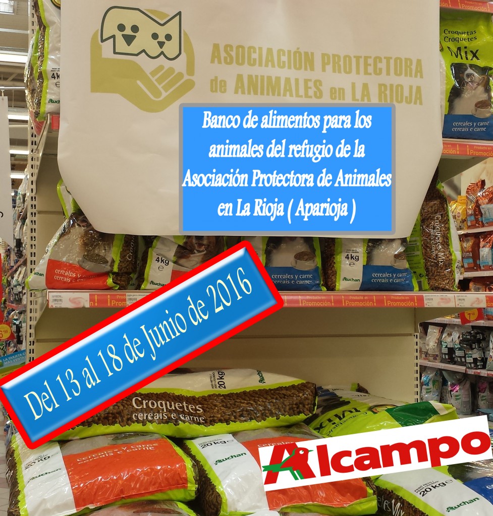 20150615_124817recortada copia