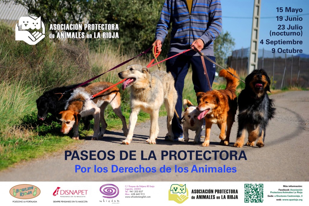 Cartel Paseos 2016 copia
