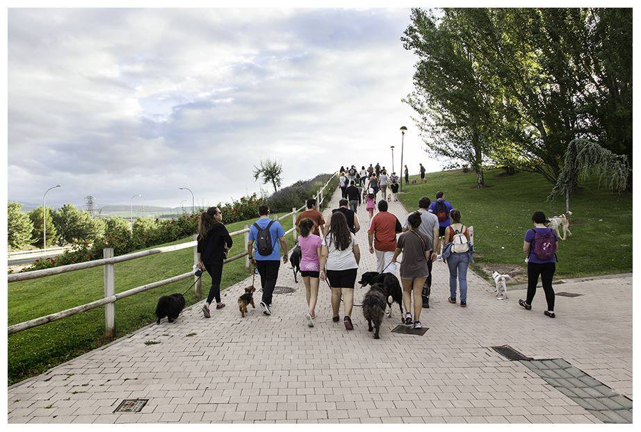 14141737_1180920185261983_387641819082687322_n