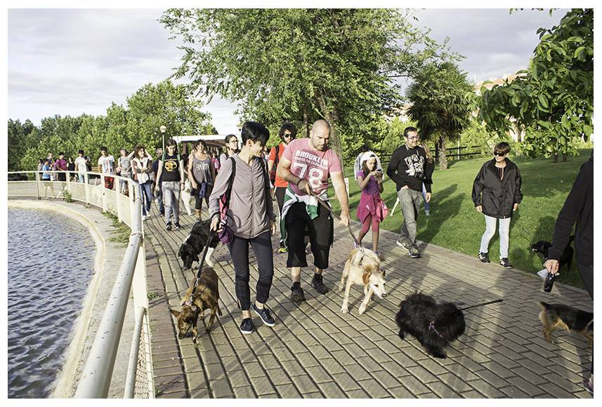 14141933_1180920188595316_1790700982895862537_n