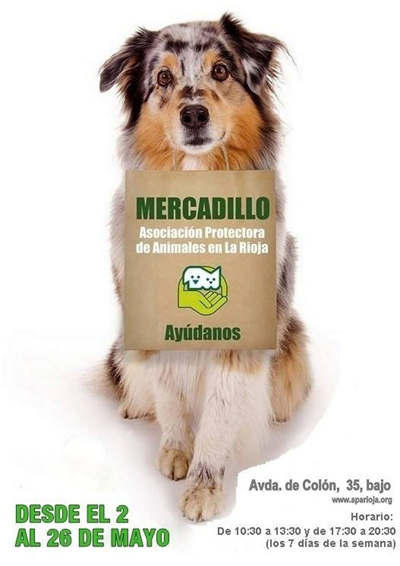 MERCADILLO SOLIDARIO EXTRAORDINARIO MAYO 2017
