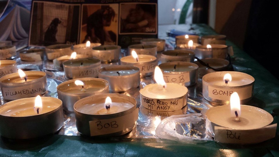 17 DE AGOSTO 2019 – DÍA INTERNACIONAL DEL ANIMAL ABANDONADO – APARIOJA