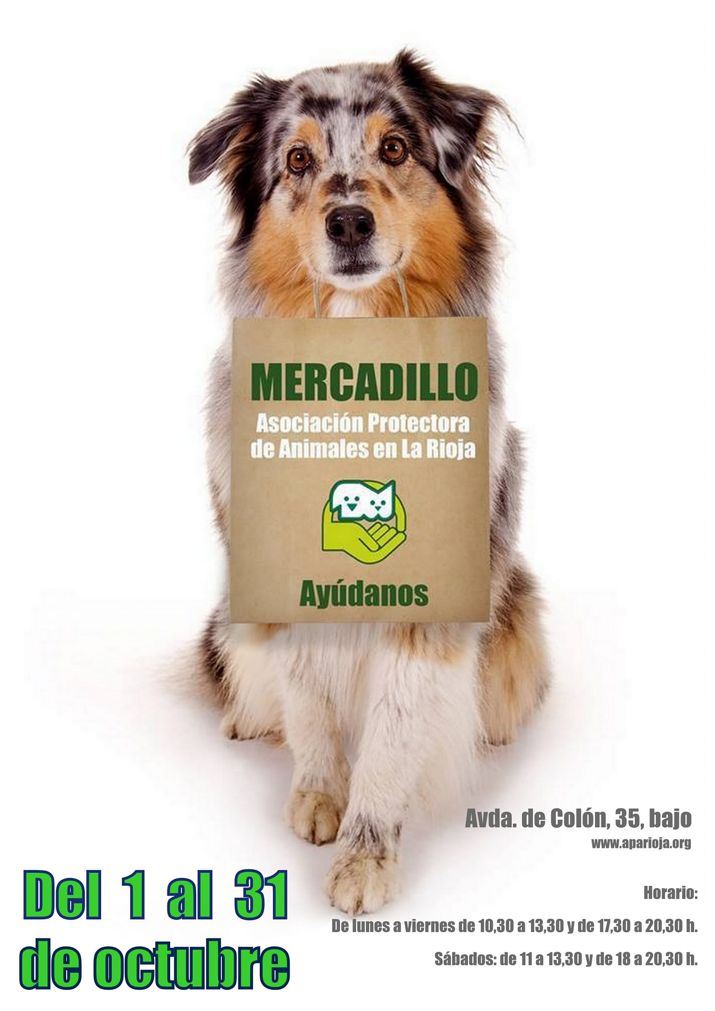Mercadillo Solidario APARIOJA 2020